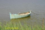 Une barque de pécheur sur l'étang de Canet-en-Roussillon. - Photo prise en mai 2005 par Ph. DELAVAQUERIE.