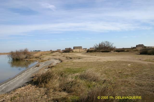 Paysages - Février 2005. Maisons de pêcheurs au bord de l'étang de Canet en Roussillon (66).
