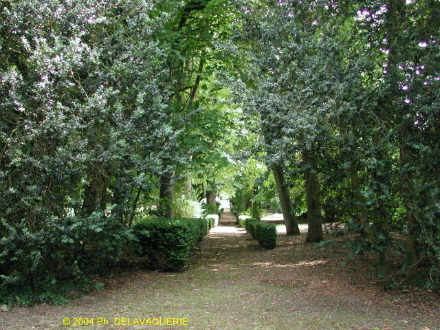Paysages - Juillet 2004. Une allée d'un jardin dans une maison du côté de Cergy (95).