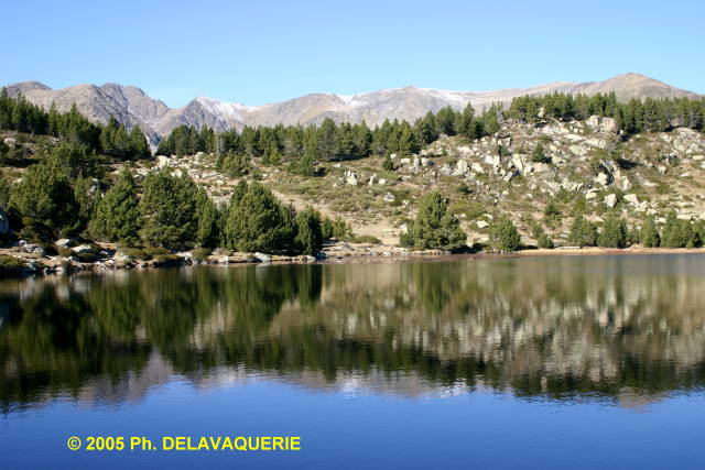 Site des Bouillouses - Site des Bouillouses : Estany del viver (Altitude 2100 m).