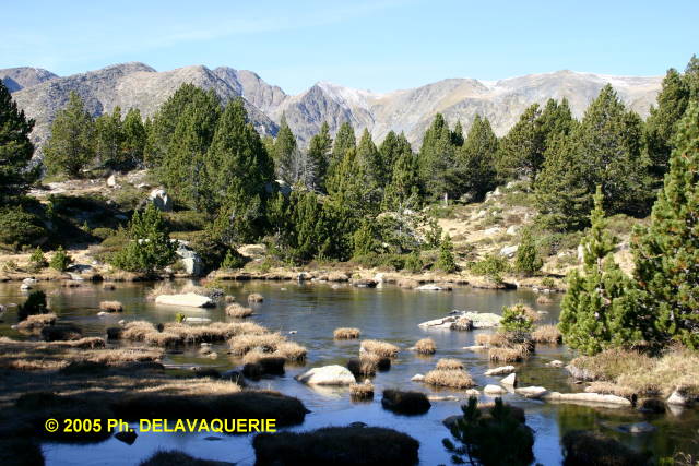 Site des Bouillouses - Site des Bouillouses : pièce d'eau pratiquement gelée (Altitude 2100 m).