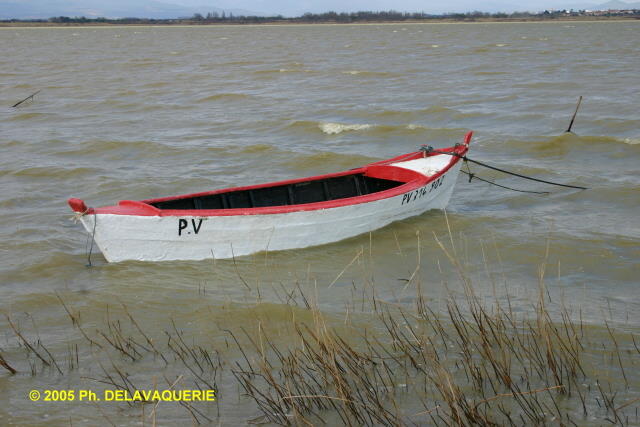 Bateaux - Mars 2005. Barques de pêcheur sur l'étang de Canet-en-Roussillon (66).