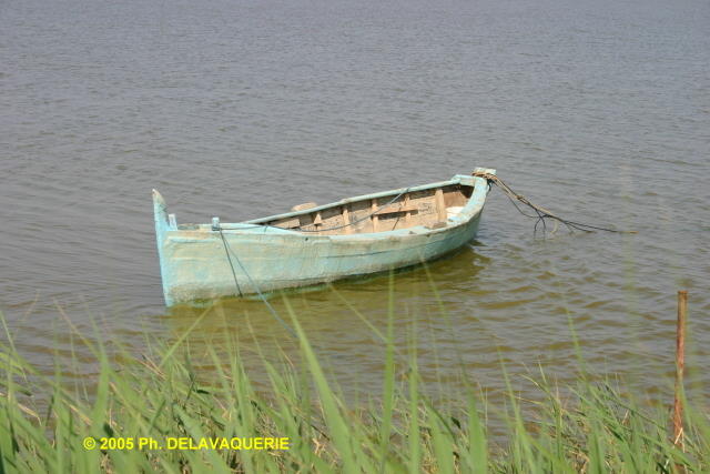 Bateaux - Mai 2005. Barques de pêcheur sur l'étang de Canet-en-Roussillon (66).