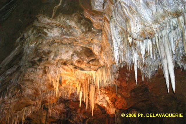 Grotte des grandes canalettes - Le plafond des Excentriques.