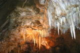 Grotte des grandes canalettes - Le plafond des Excentriques.