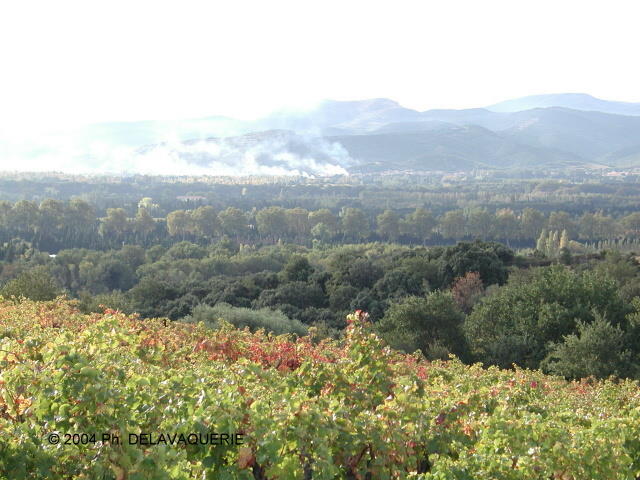 Canigou - Octobre 2004. Le massif du Canigou (66).