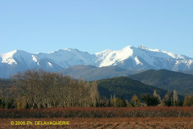 Canigou - Janvier 2005. Le massif du Canigou (66).