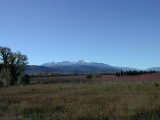 Canigou - Novembre 2004. Le massif du Canigou (66).