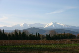 Canigou - Décembre 2004. Le massif du Canigou (66).