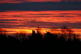 Ciel - Décembre 2004. Les nuages au lever du soleil sur Millas (66).